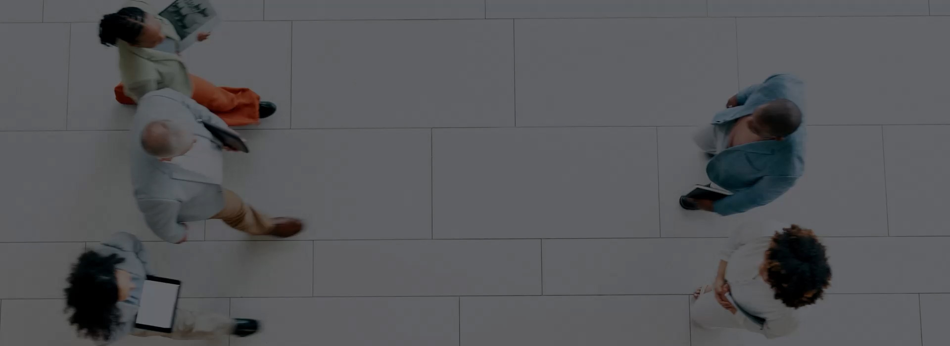 banner bg banner bg